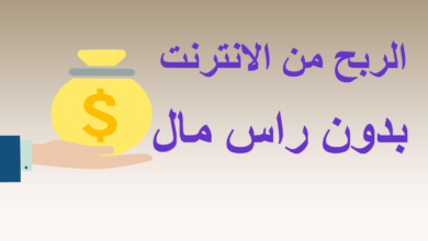 الربح من الإنترنت بدون رأس مال